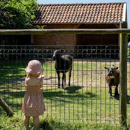 Hoeve De Binnenplaets Schimmert Dış mekan fotoğraf