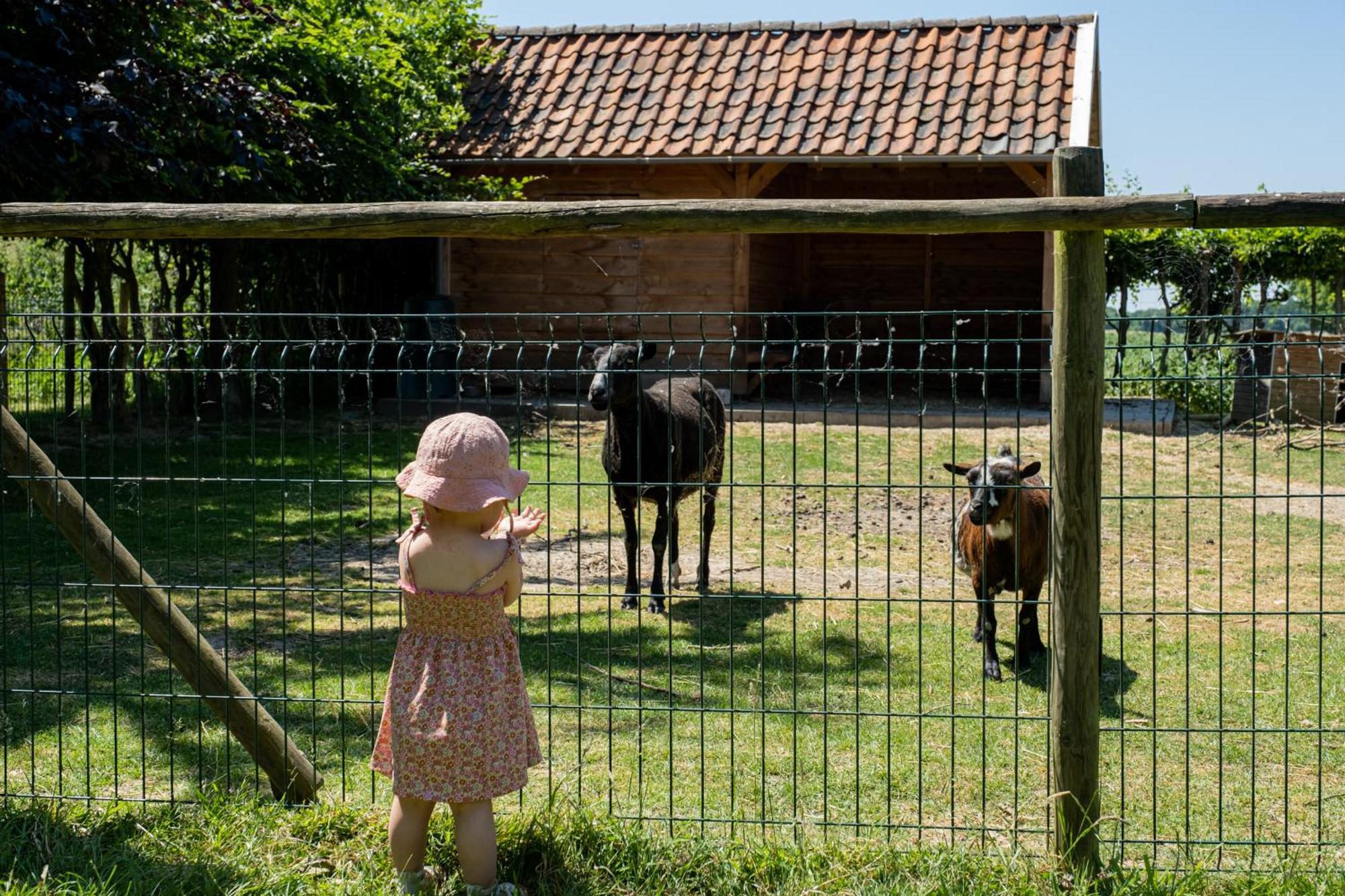 Hoeve De Binnenplaets Schimmert Dış mekan fotoğraf